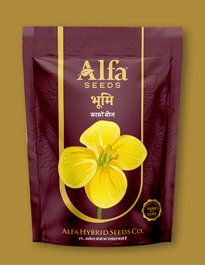 bhumi-mustard-seed