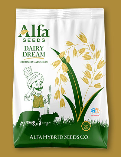 dairy-dream-oats-seed
