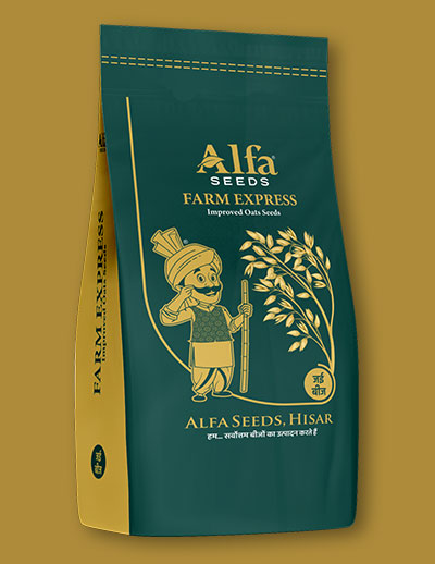 farm-express-oats-seed