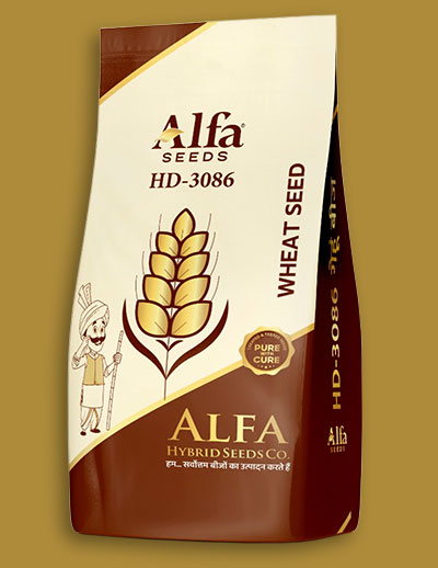 hd-3086-wheat-seed
