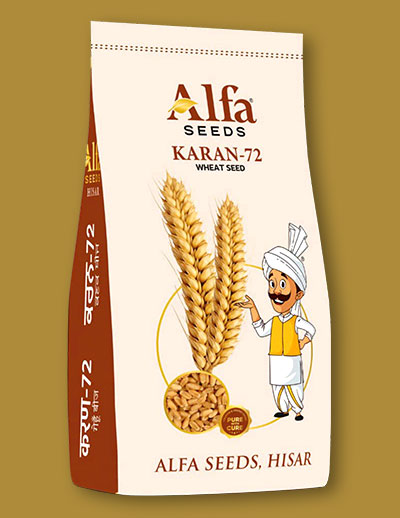 karan-72-wheat-seed