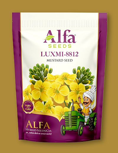 luxmi-8812-mustard-seed