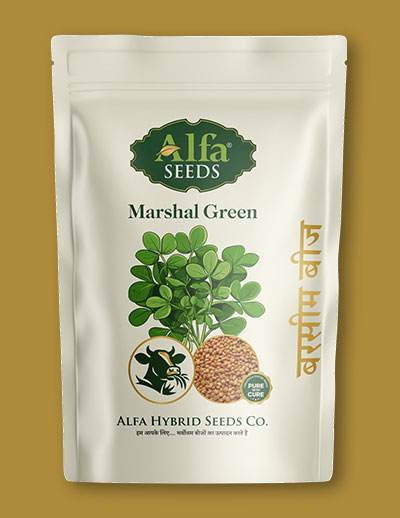 marshal-green-berseem-seed