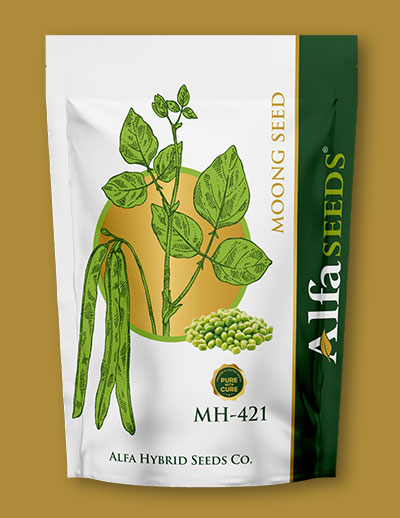moong-seed