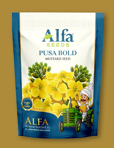 pusa-bold-mustard-seed