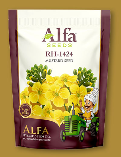 rh-1424-mustard-seed