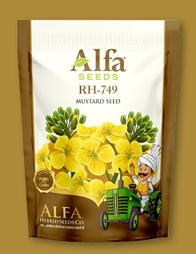 rh-749-mustard-seed
