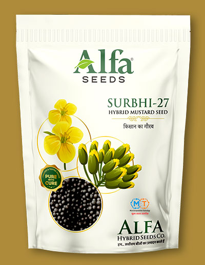 surbhi-27-hybrid-mustard-seed