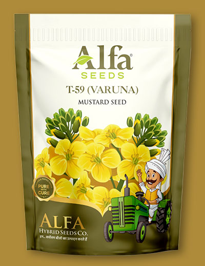 t-59-varuna-mustard-seed